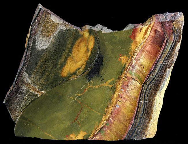 Marra Mamba Stromatolite - Mt Brockman ( Billion Years) #64012